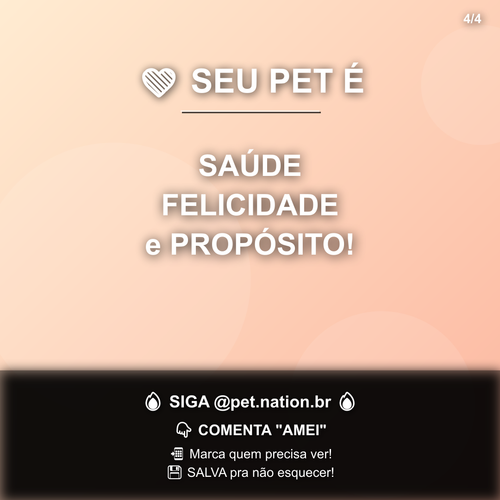 carousel 1776384003155 slide4.png