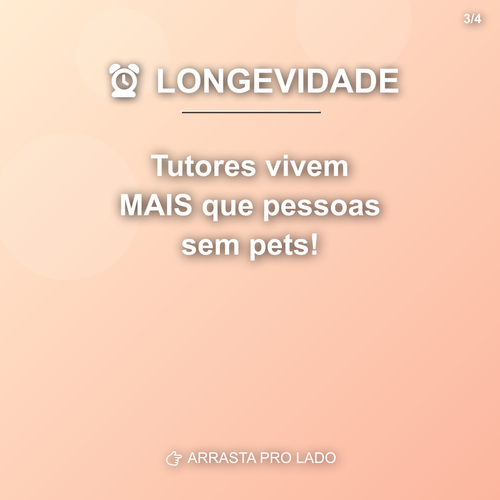 carousel 1776384002969 slide3.png