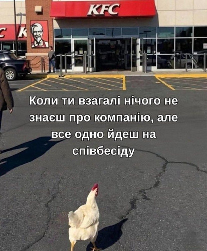 NY33HWlOqXRklsNJ64uataIYZThL5nDtNR8Ue356Aqa5cpEJzR4Qzabc1qDbqNXvOZgNZZo2KMx8vZnRKptD2a7 jz U8gr9oo6n.jpg