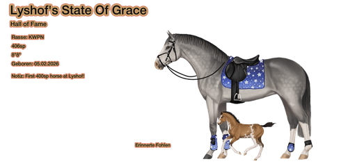 MyHorsez Banner.png