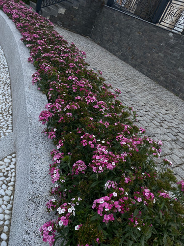 5d12fc6bcb5e.jpg