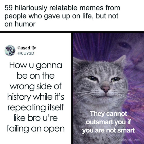 funny memes.jpg
