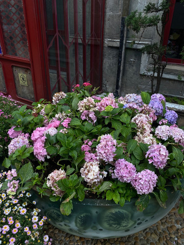 5480f7d523e6.jpg