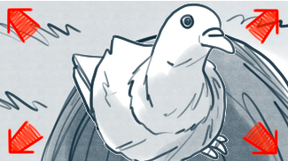 acd4c091f07f.png