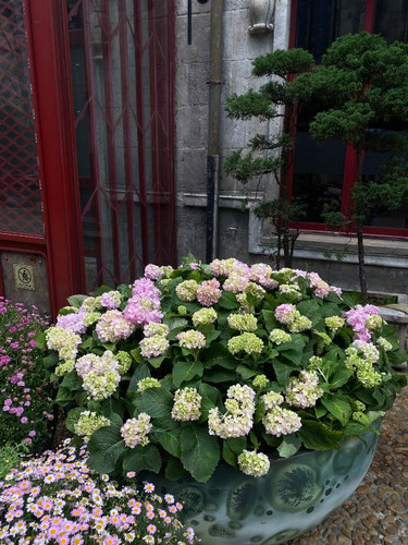 575c29980f16.jpg