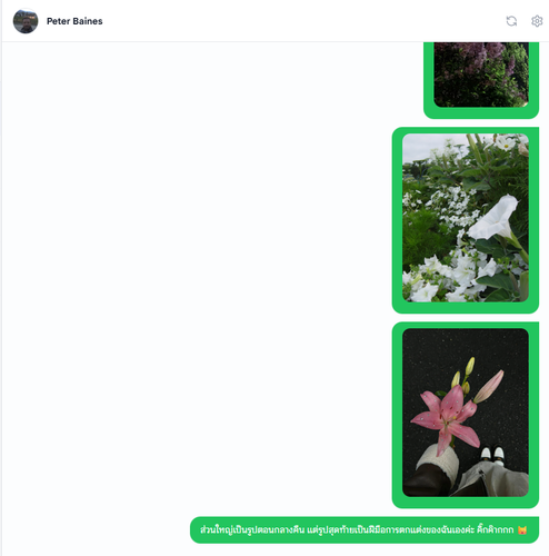 Screenshot 2026 04 17 182527.png