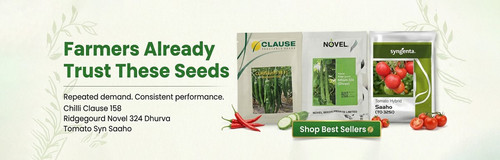 Organic Vegetable Seed Combo Pack – Tomato, Ridge Gourd & Coriander Seeds for Home Gardening.jpg