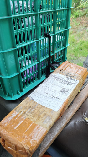JD0550821454.jpg