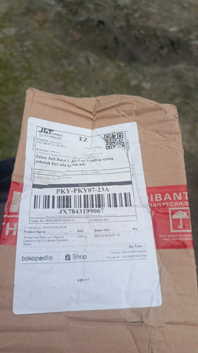 JX7843199067.jpg