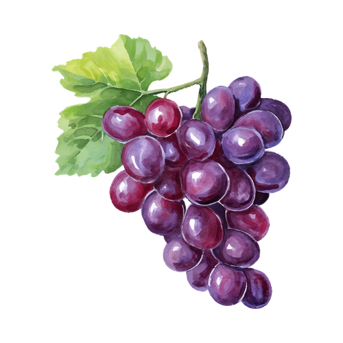 fruits images for flex printing (1)