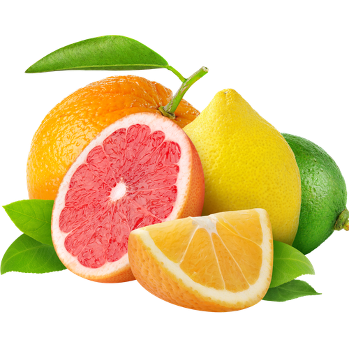 fruits images for flex printing (14)