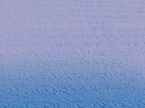 temp.png