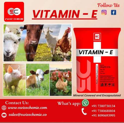 Vitamin E Raw Material for Animal Feed Supplier Swisschemie.jpg