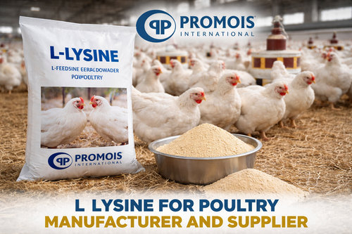 L-lysine-poultry-manufacturer-supplier-trusted-feed-grade.png