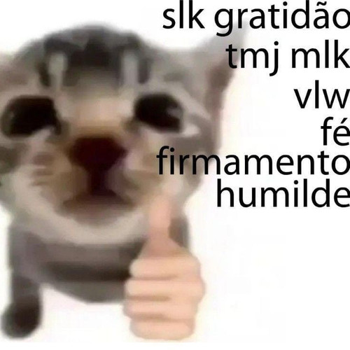 imagem maker.jpg