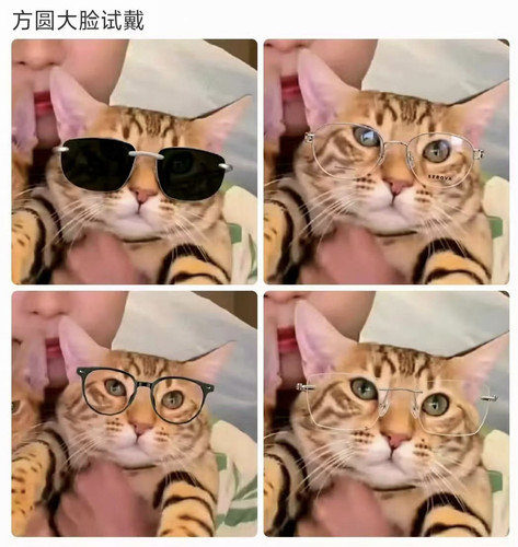 1000018657.jpg