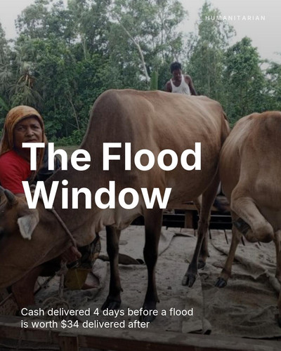 the flood window.jpg