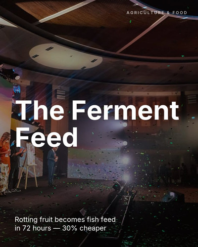 the ferment feed.jpg
