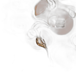 66127289a5da.png