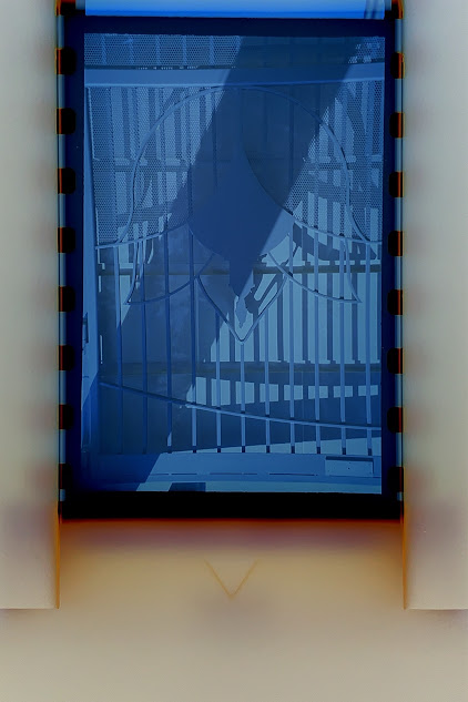 AP1GczOgksJS JdKoA96ewqvFBq2VDUU5P7jogYei4leRO4gAMFg1YtKfGWwFtF9pCisU5moFhQzXIReTUhnyKG3178RfDfFMepb.jpg