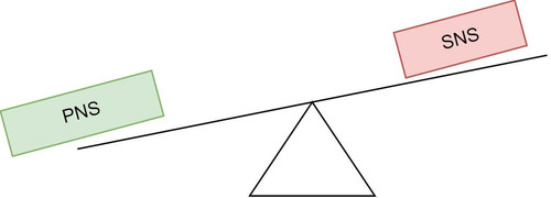 00012.jpg