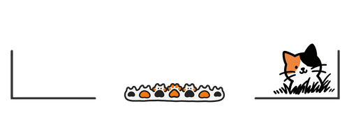 微信图片 20250709256.png