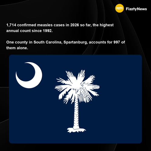 87e8881850b1.png