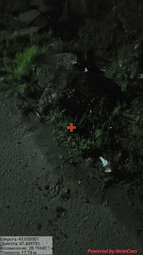 photo 4 2026 04 17 04 40 31.jpg