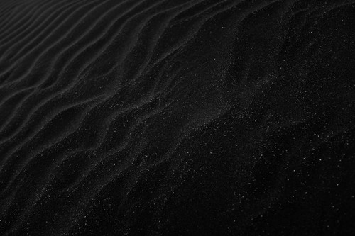pexels adrien olichon 1257089 2387793.jpg
