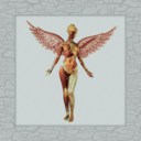ddc157476c34.png