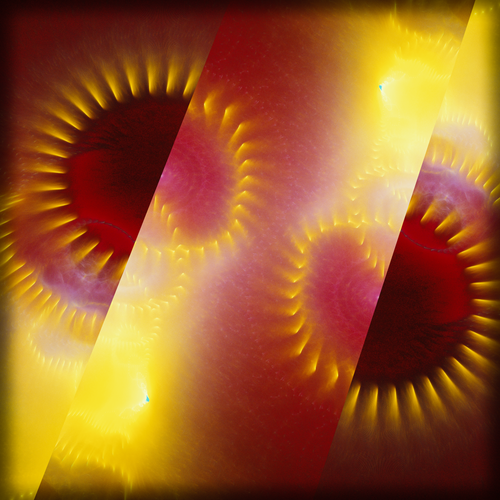 In Your Happy Home.png