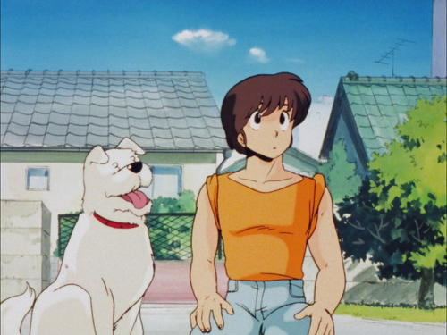 Maison.Ikkoku. .11. .[1080p.BD.HEVC.x265].[ITA.AAC.JPN.FLAC].[DHD] [376D0AE4].[Mux.by.Sonikko06].mkv.png