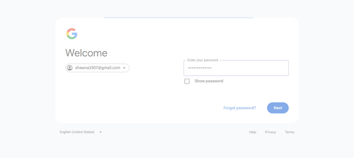 2026 04 16T21 20 20 777Z GOOGLE password entered.png