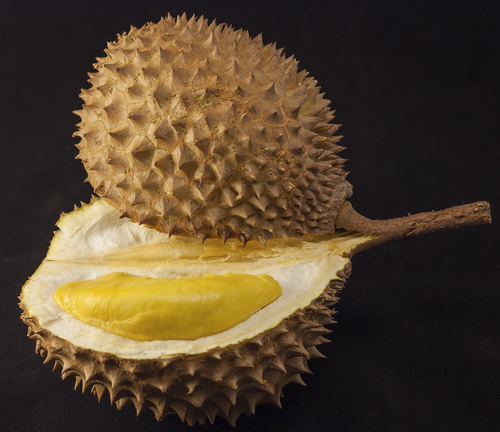 Screenshot 2026 04 16 at 14 20 45 Durian in black.jpg (JPEG Image 3293 × 2848 pixels) — Scaled (28%).png
