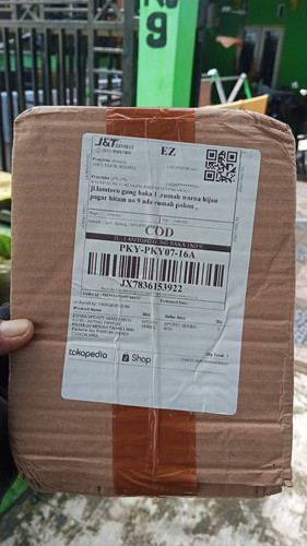 JX7836153922.jpg