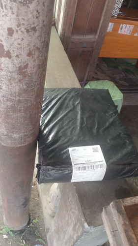 JX7839525508.jpg