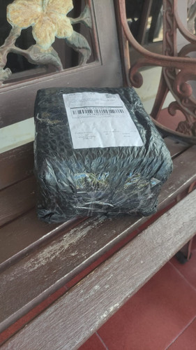 JX7831145253.jpg