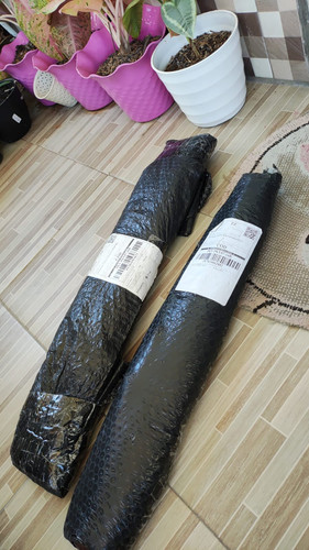 JX7831953673.jpg
