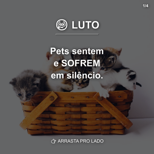 carousel 1776438007158 slide1.png