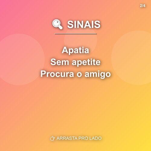 carousel 1776438007467 slide2.png