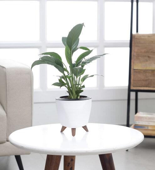 F9M8qeuve6Plb9f4izMroW7ZtiAHRnyCrT7yzcKQfyMtg5dRRsXlKQdEb6QN18S1fwQ9JyAlD Qi9UwnmTl8Z7sPmQtQVDf3a511.jpg