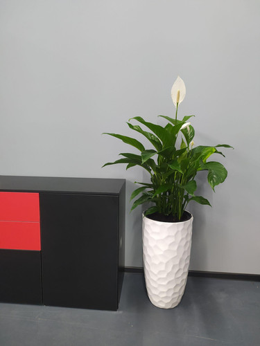 Vijm9 w1WH SOa V XYuQyaT9Uxl2smKWFCGGAUqhxIp1wW7U N0mHjtShTgJ nf9EUasHmBD7 5W3YZ7o0sCTgfHwLoE20O1WB6.jpg