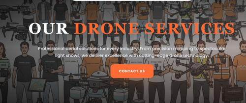 Best Drone Services in India for Commercial and Personal Use.png