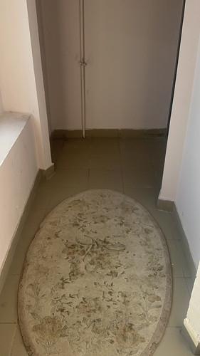 IMG 3790.jpg