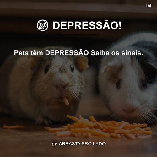 carousel 1776427207780 slide1.png