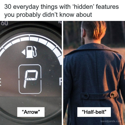 hidden purpose.jpg