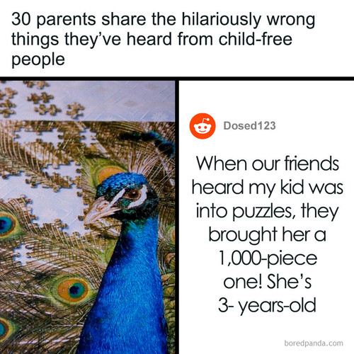 parents share childfree people wrong sayings 77.jpg