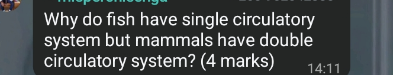 temp.png