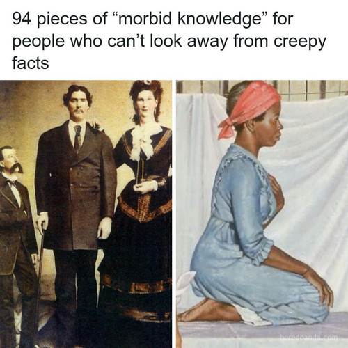 morbid stories.jpg
