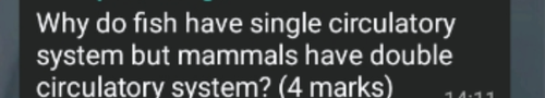 temp.png